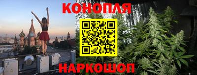 прущие грибы Кунгур