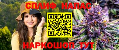 прущие грибы Кунгур
