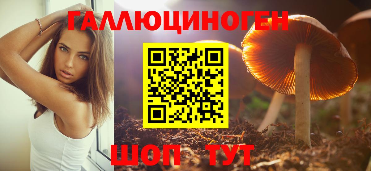 Галлюциногенные грибы Psilocybine cubensis  Вход с VPN  Галлюциногенные грибы ЛСД  Губкинский 